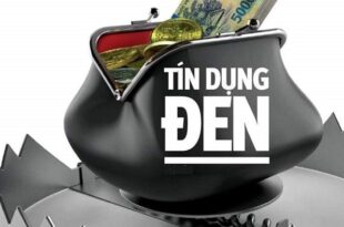 Cảnh báo: Đừng sang tên hoặc ủy quyền toàn bộ tài sản để vay vốn